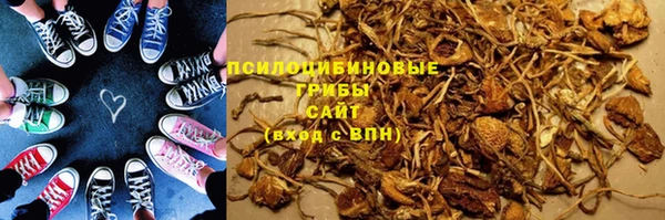 дурь Новозыбков