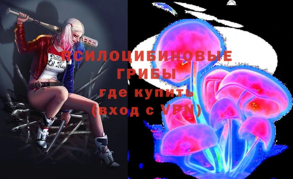 бутират Нягань