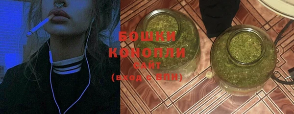 молекула духа Болохово